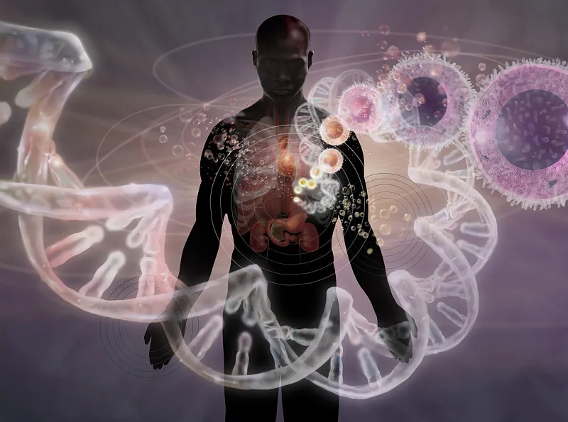 干細胞療法治療急性和慢性創(chuàng)傷性腦損傷的臨床研究回顧