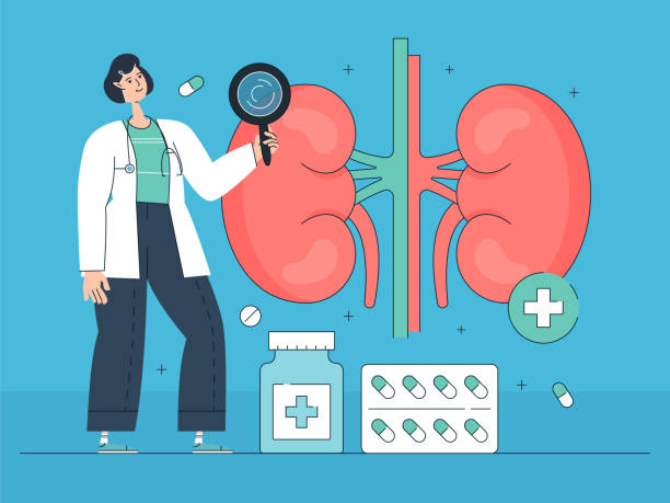 干細胞治療腎病多久見效？腎病癥狀改善時間全解析