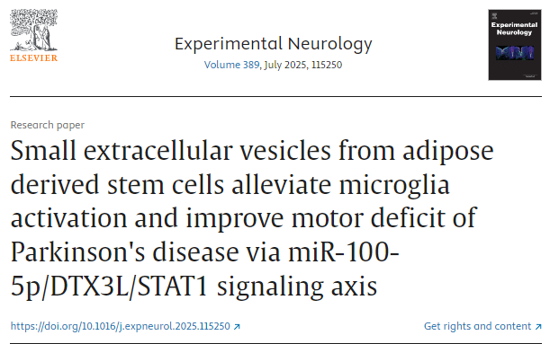 脂肪來(lái)源干細(xì)胞的小細(xì)胞外囊泡通過 miR-100-5p/DTX3L/STAT1 信號(hào)軸減輕小膠質(zhì)細(xì)胞活化并改善帕金森病的運(yùn)動(dòng)障礙