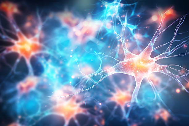 神經干細胞移植能治療哪些疾??？包含帕金森、脊髓損傷等6大適應癥