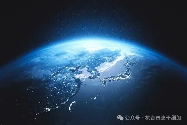 到2026年，哪些國家將在干細胞創新領域處于領先地位？