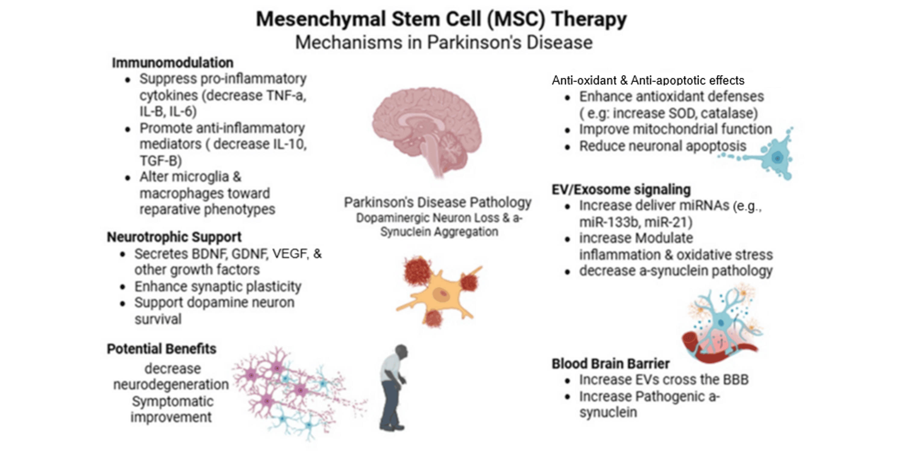 圖2：間充質干細胞治療帕金森病的機制